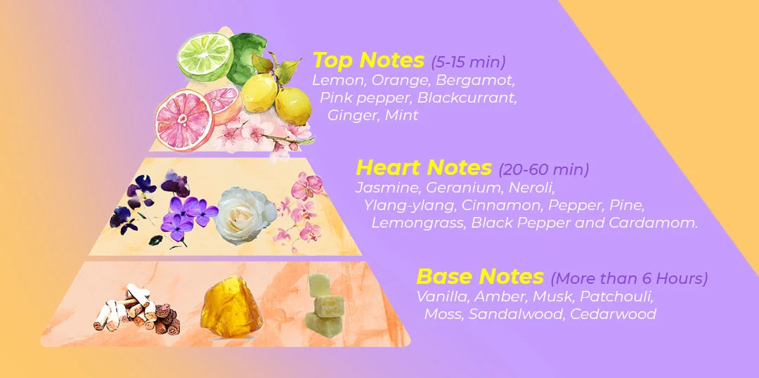 Fragrance Pyramid: An Olfactory Tale
